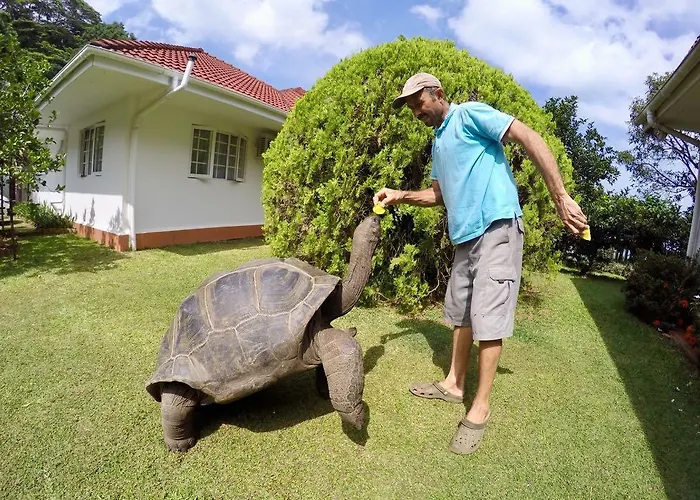 Lägenhet Ixora Anse Royale